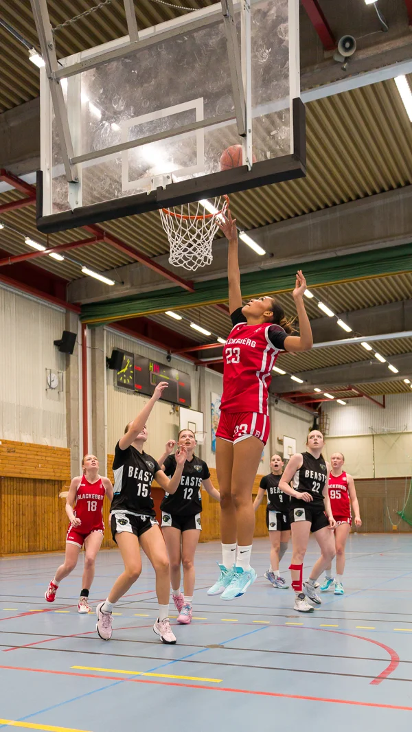 Image 8 from Göteborgsfestivalen 2025