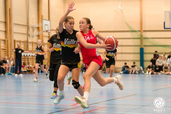 Amie Cedermarker, Lobas