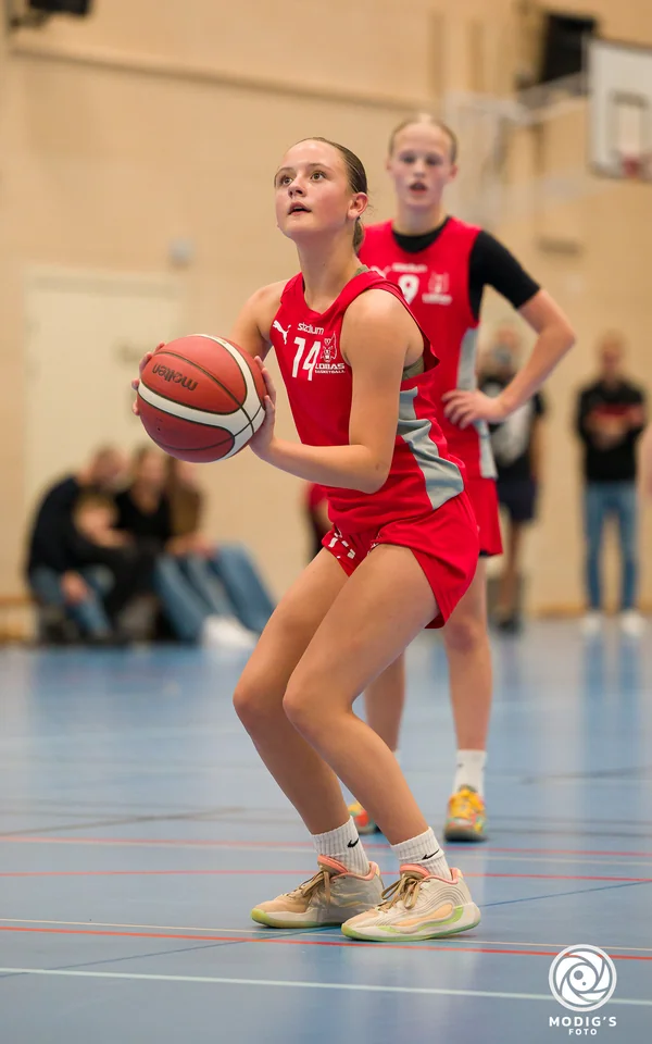 Ines Brattwall, Beasts Basketball