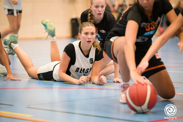 Ines Brattwall, Beasts Basketball